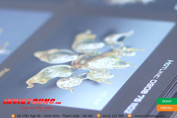 Mẫu catalogue đẹp, những mẫu thiết kế catalogue đẹp.